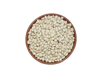 White Rajma/Red Kidney Beans from Dehradun - 500g (Pack of 2)