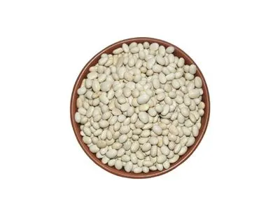 White Rajma/Red Kidney Beans from Dehradun - 500g (Pack of 2)