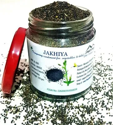 Jakhiya from Auli (200gm)